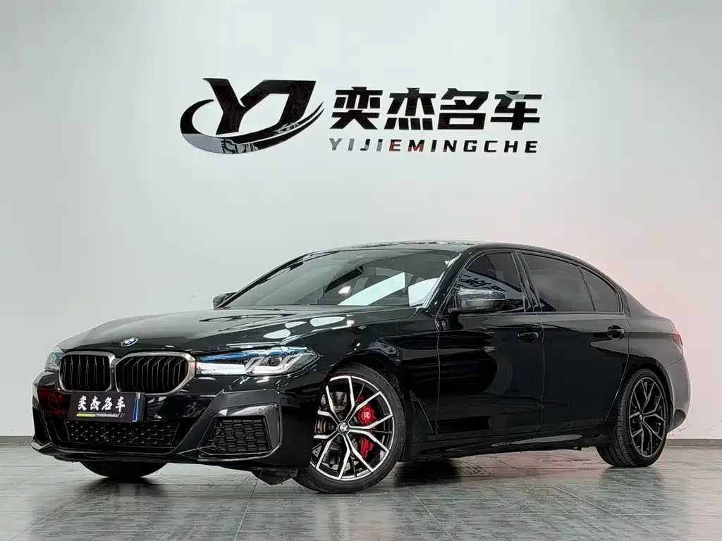 BMW 5 Series 2021 из CN, фото 1