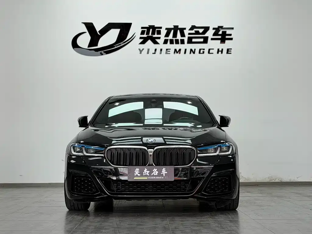 BMW 5 Series 2021 из CN, фото 7