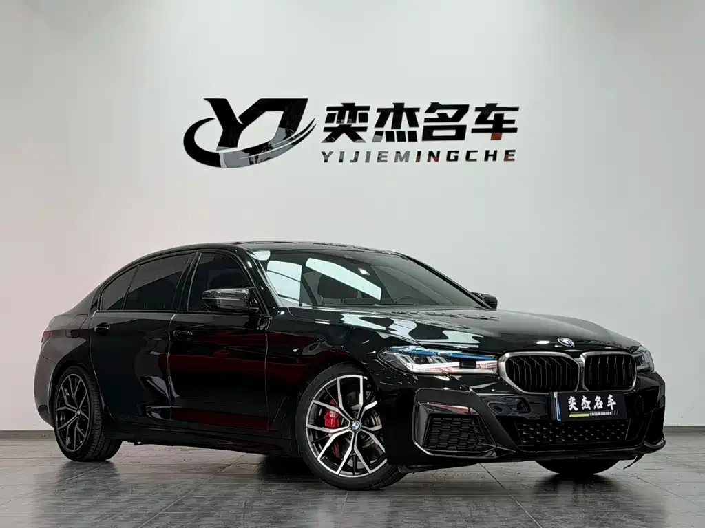 BMW 5 Series 2021 из CN, фото 6