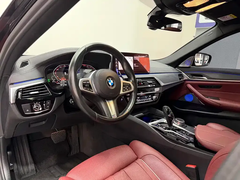 BMW 5 Series 2021 из CN, фото 8