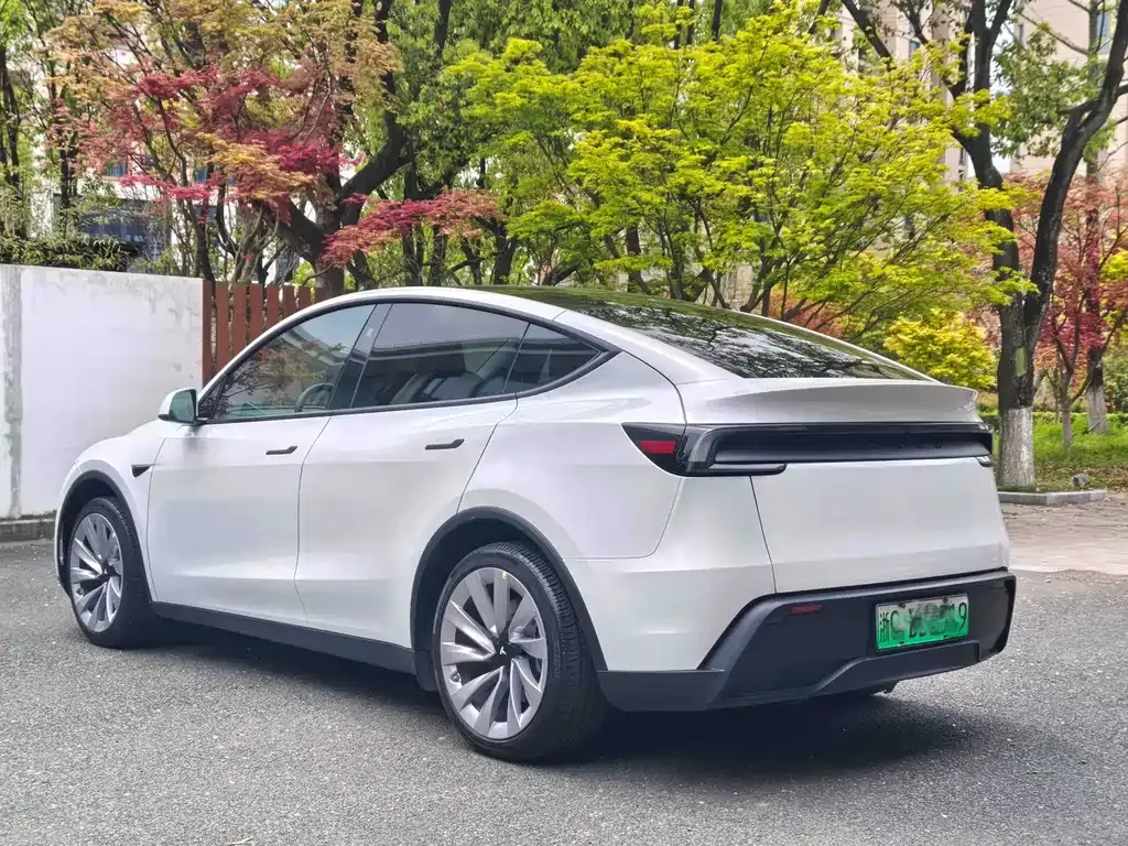 Tesla Model Y — фото 10