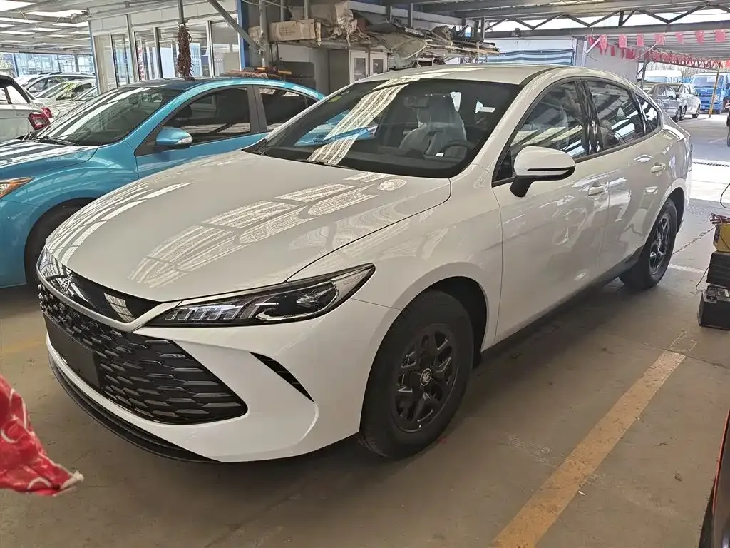 BYD Qin PLUS — фото 1