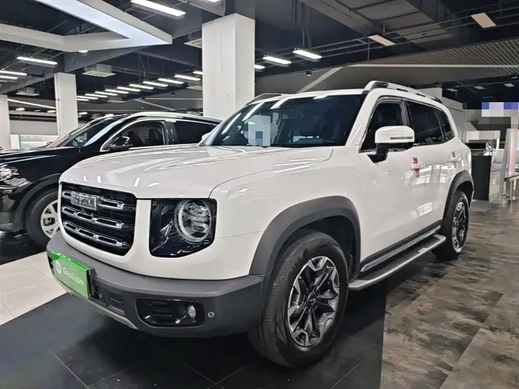 Haval Big Dog 2022 из CN, фото 8