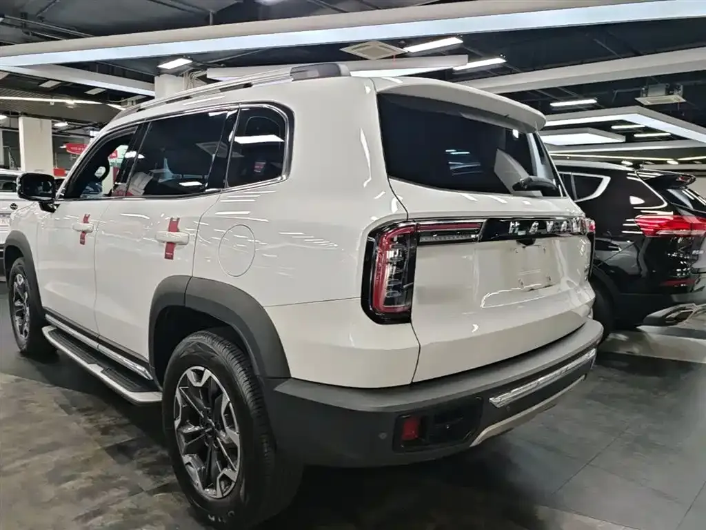 Haval Big Dog 2022 из CN, фото 4