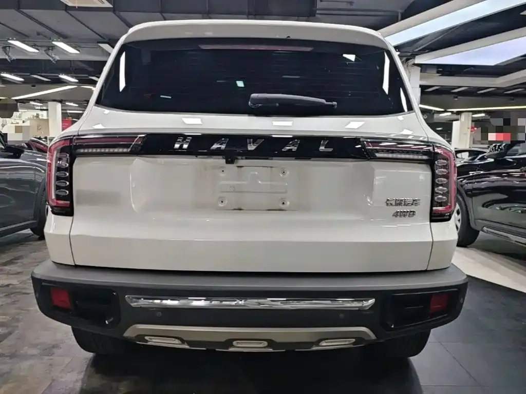 Haval Big Dog 2022 из CN, фото 3