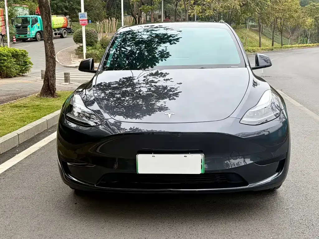 Tesla Model Y — фото 5