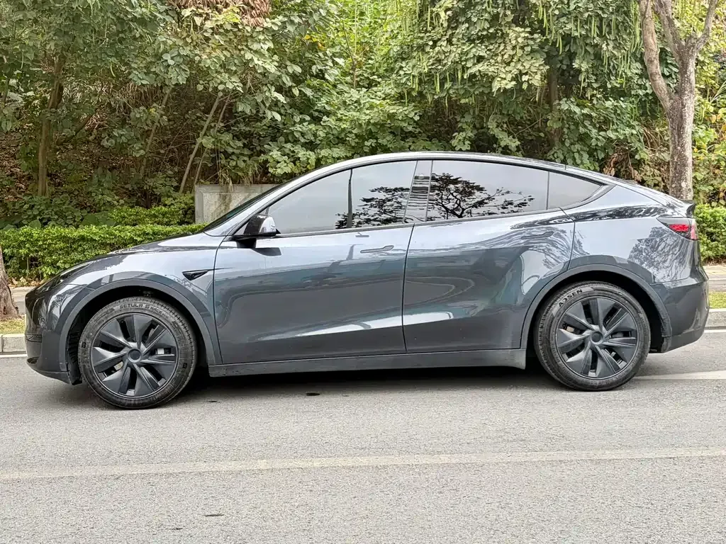 Tesla Model Y — фото 10