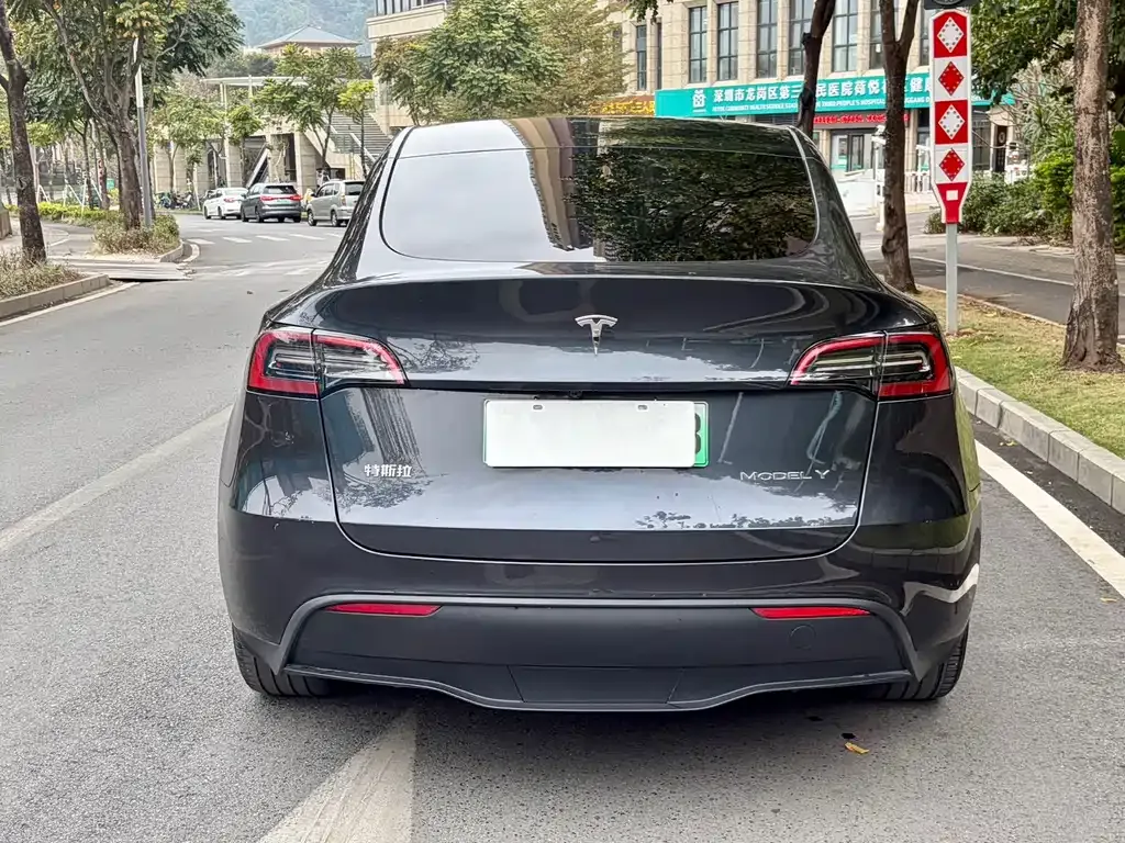 Tesla Model Y — фото 8
