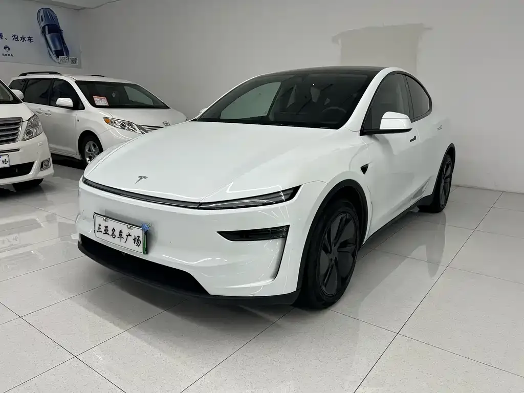 Tesla Model Y — фото 1