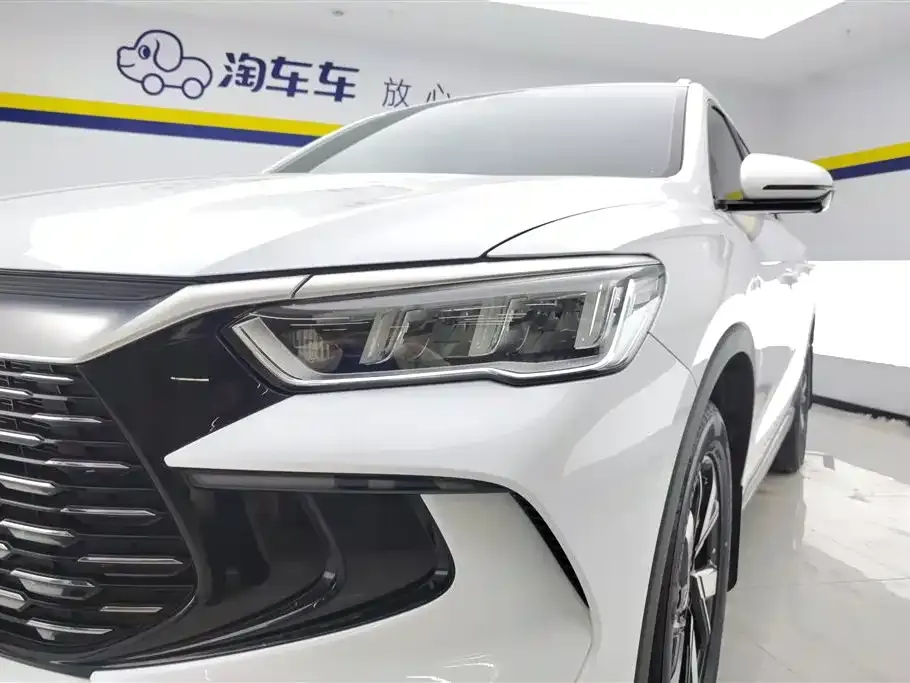 BYD Pro New Energy 2024 из CN, фото 5