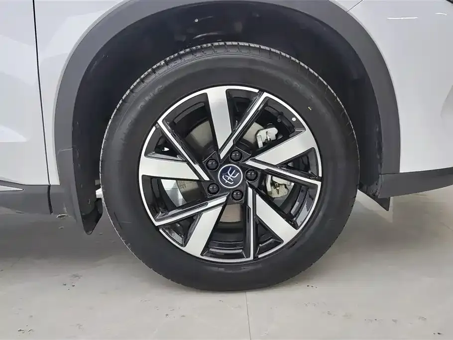 BYD Pro New Energy 2024 из CN, фото 4
