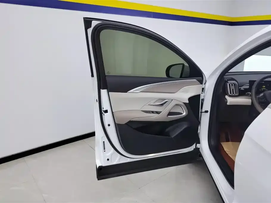 BYD Pro New Energy 2024 из CN, фото 3