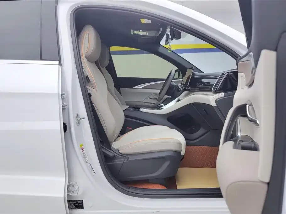 BYD Pro New Energy 2024 из CN, фото 2