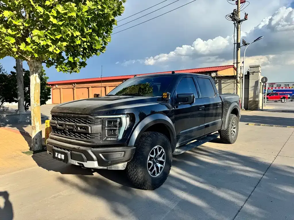 Ford F-150 Raptor — фото 1