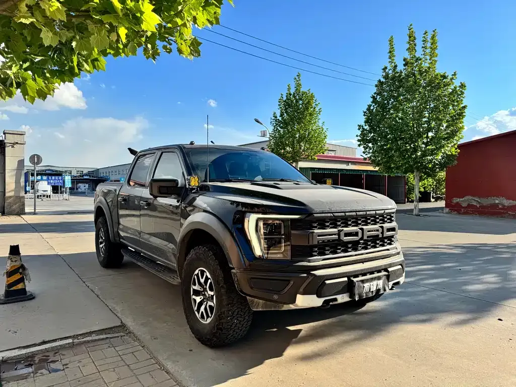 Ford F-150 Raptor — фото 8