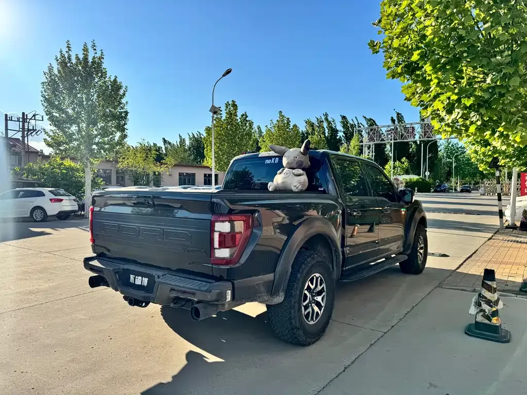 Ford F-150 Raptor — фото 7