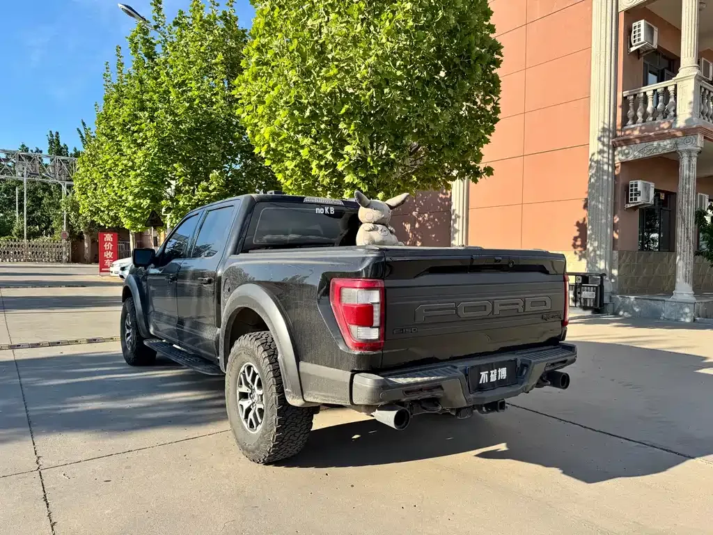 Ford F-150 Raptor — фото 9