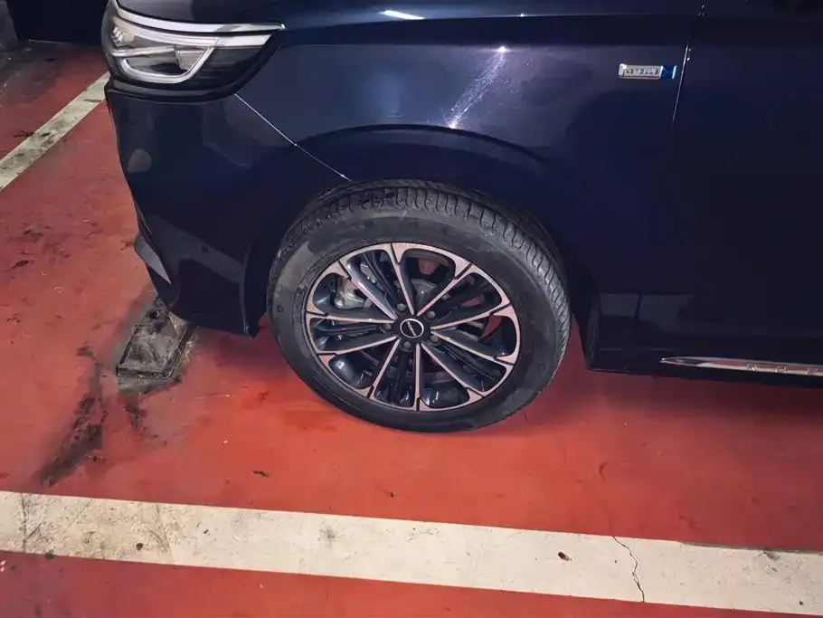 Roewe iMAX8 2022 из CN, фото 6