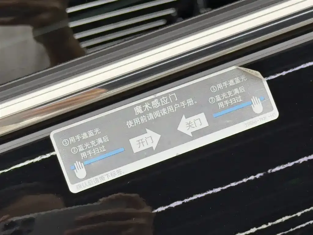 Honda Elysion 2022 из CN, фото 6