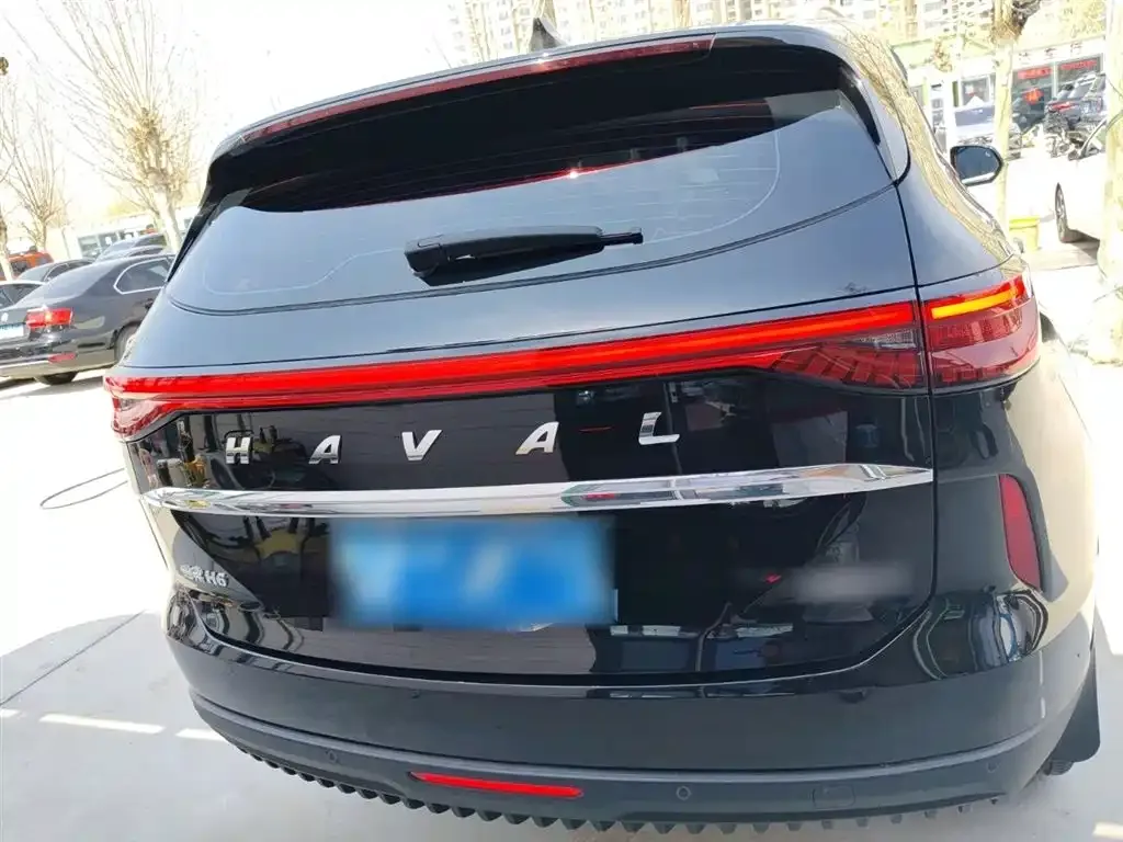 Haval H6 2023 из CN, фото 10