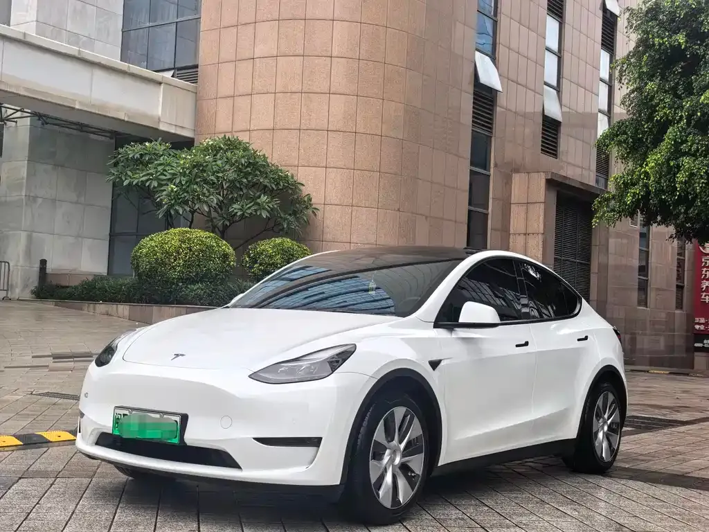 Tesla Model Y — фото 1