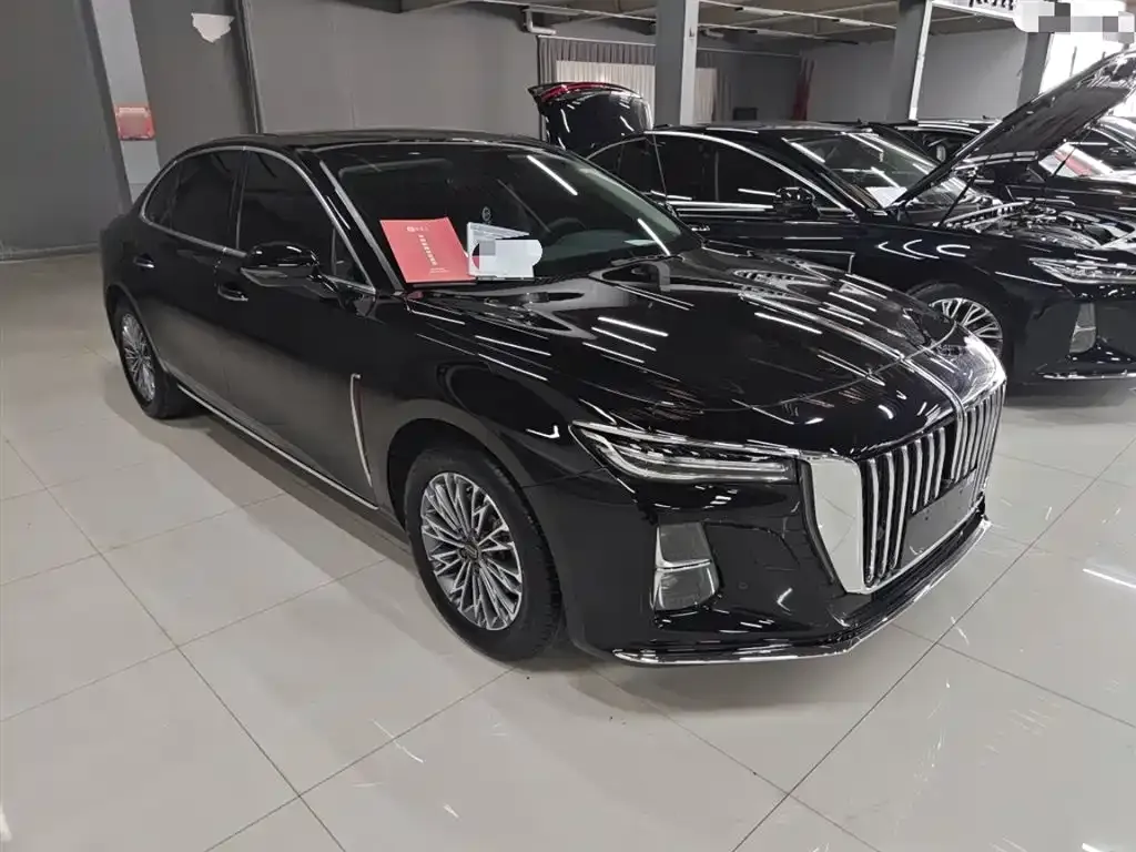 Hongqi H5 2024 из CN, фото 10