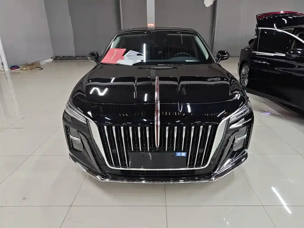 Hongqi H5 2024 из CN, фото 8