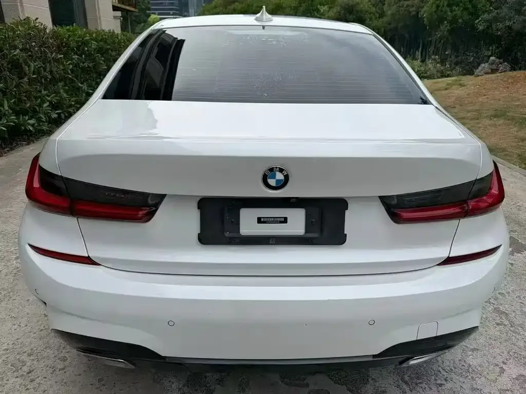 BMW 3 Series 2021 из CN, фото 6