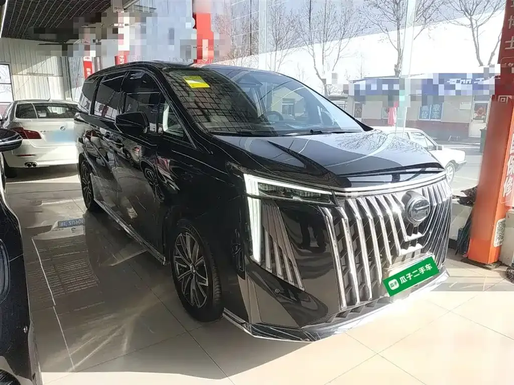 GAC Motor Trumpchi M8 2024 из CN, фото 9
