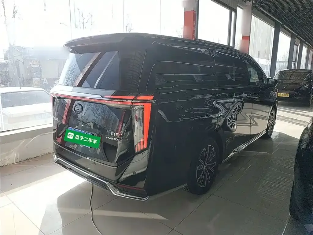 GAC Motor Trumpchi M8 2024 из CN, фото 7