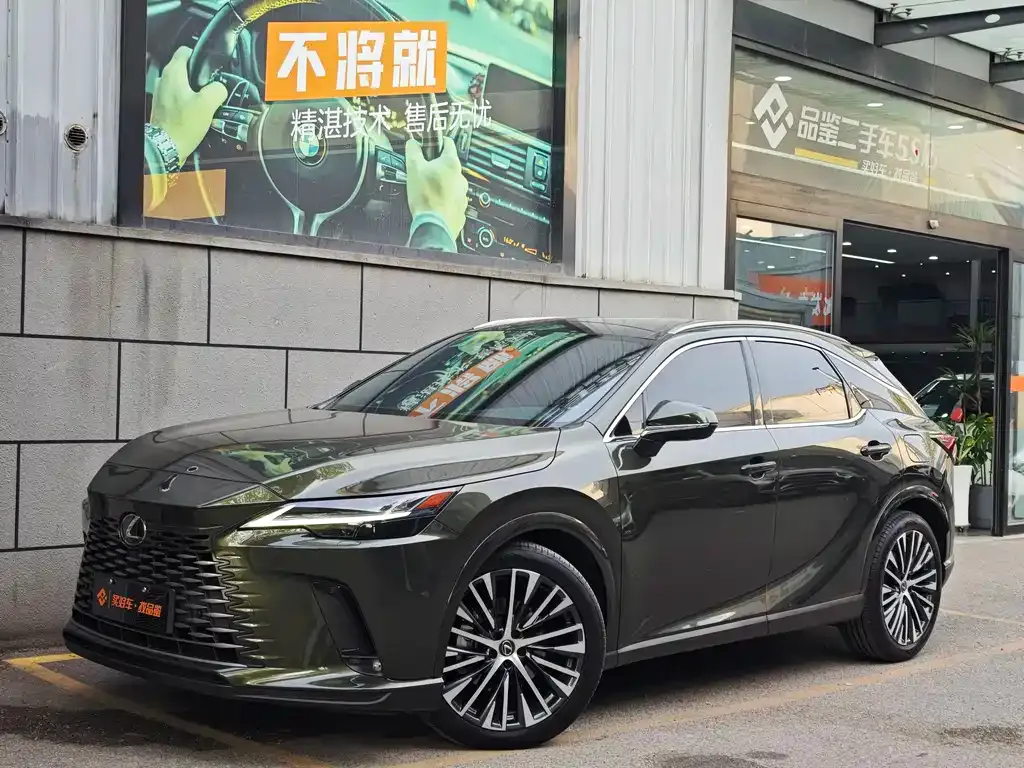 Lexus RX New Energy