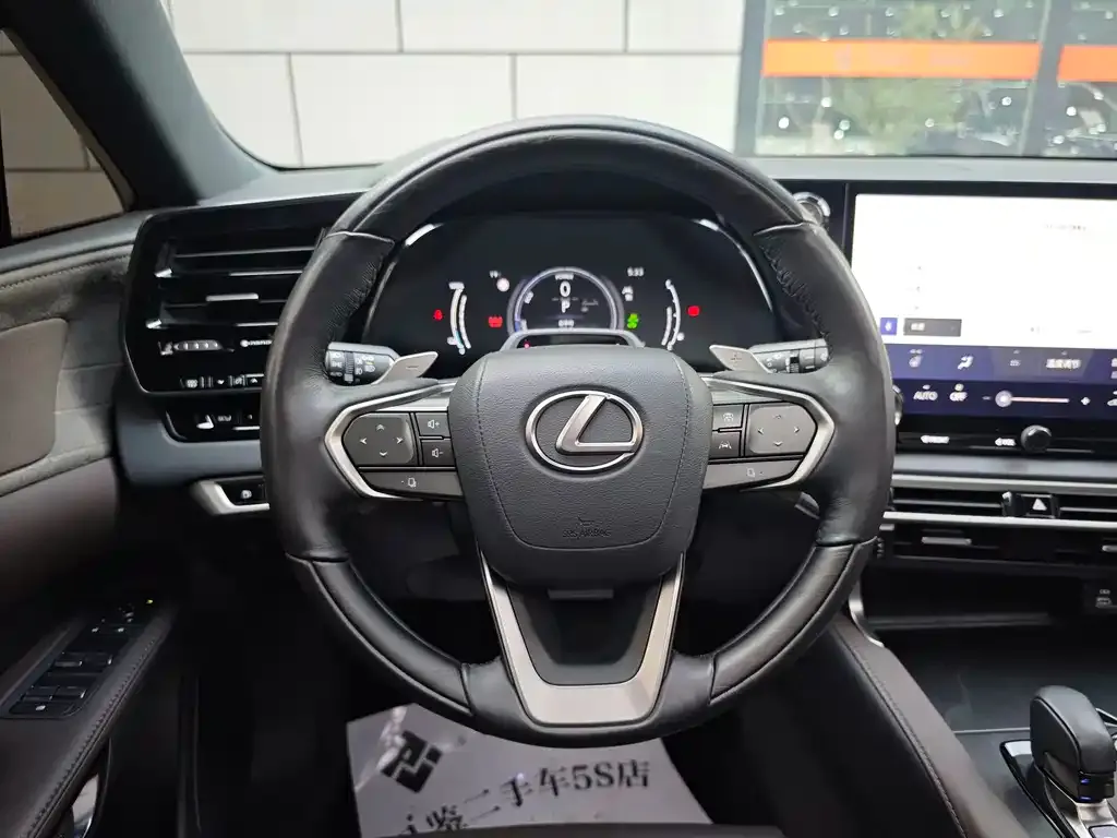 Lexus RX New Energy 2023 из CN, фото 5