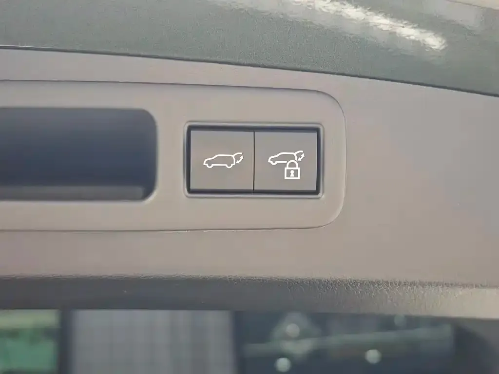 Lexus RX New Energy 2023 из CN, фото 2