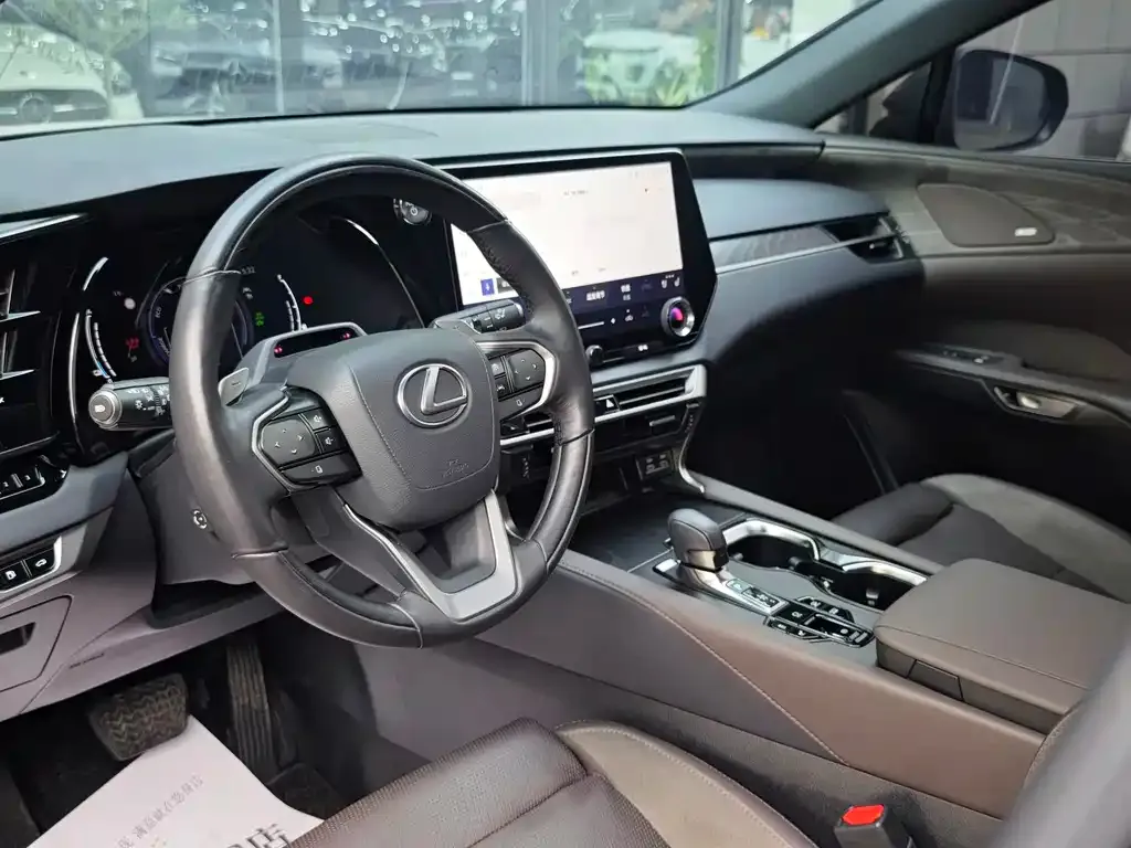 Lexus RX New Energy 2023 из CN, фото 6