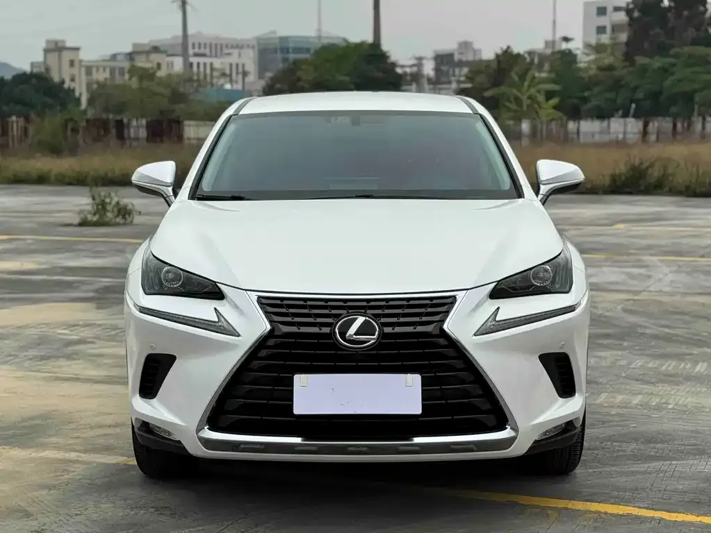 Lexus NX 2021 из CN, фото 6