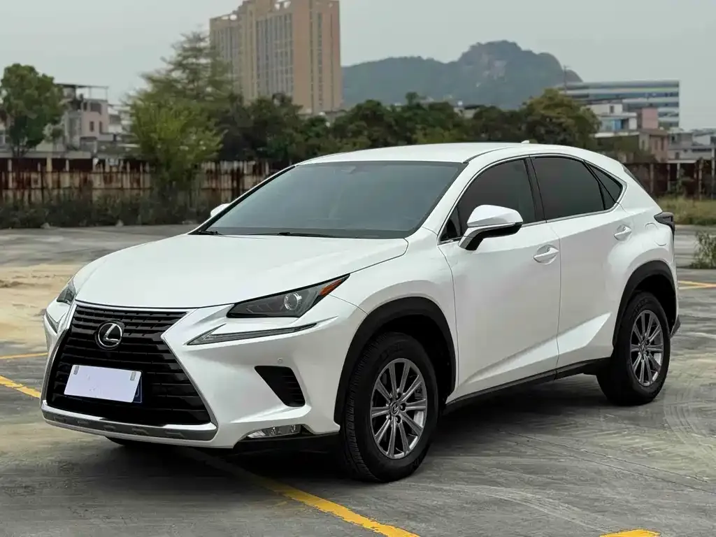 Lexus NX 2021 из CN, фото 4