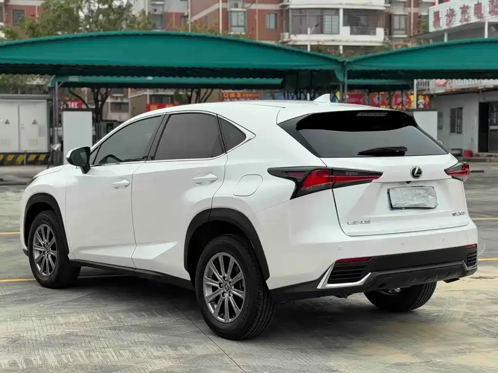Lexus NX 2021 из CN, фото 9