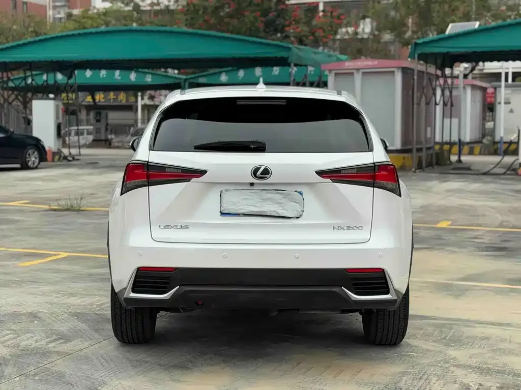 Lexus NX 2021 из CN, фото 10