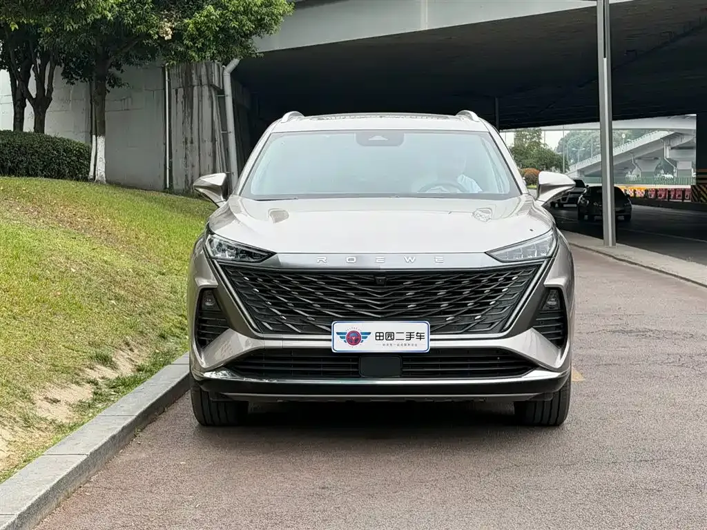 Roewe RX9 2023 из CN, фото 10