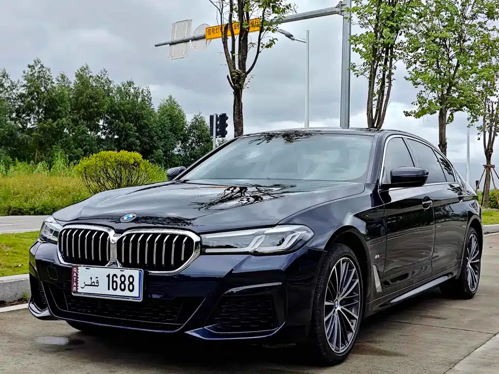 BMW 5 Series 2024 из CN, фото 1