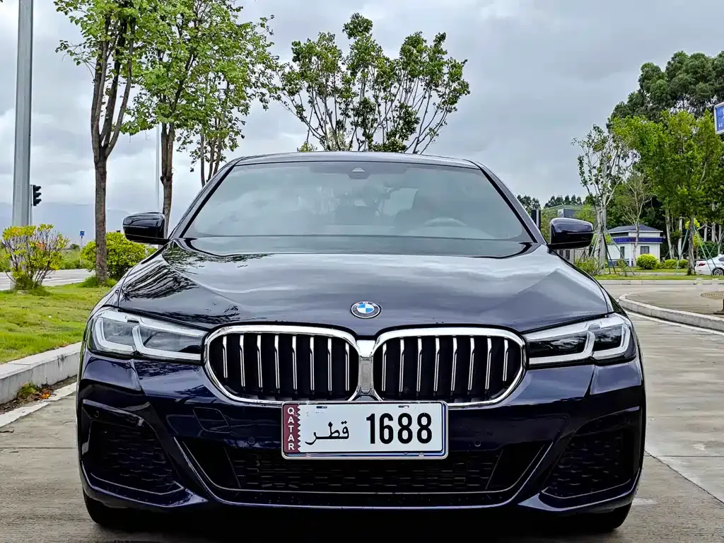 BMW 5 Series 2024 из CN, фото 6