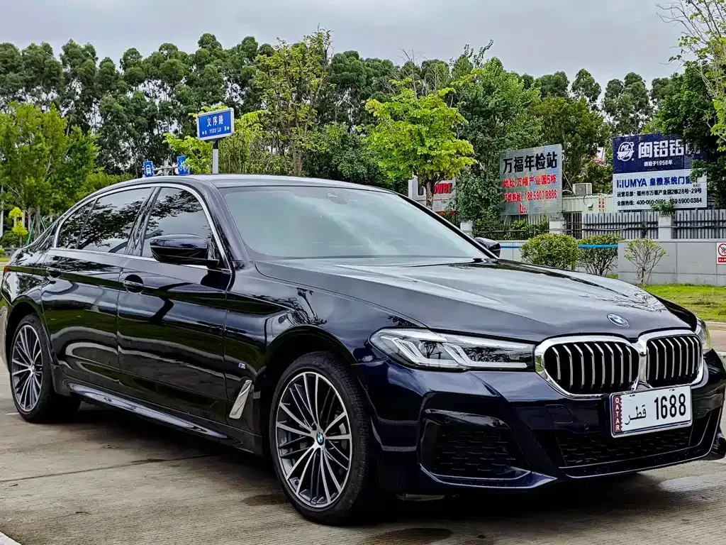 BMW 5 Series 2024 из CN, фото 9
