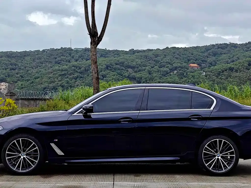 BMW 5 Series 2024 из CN, фото 7