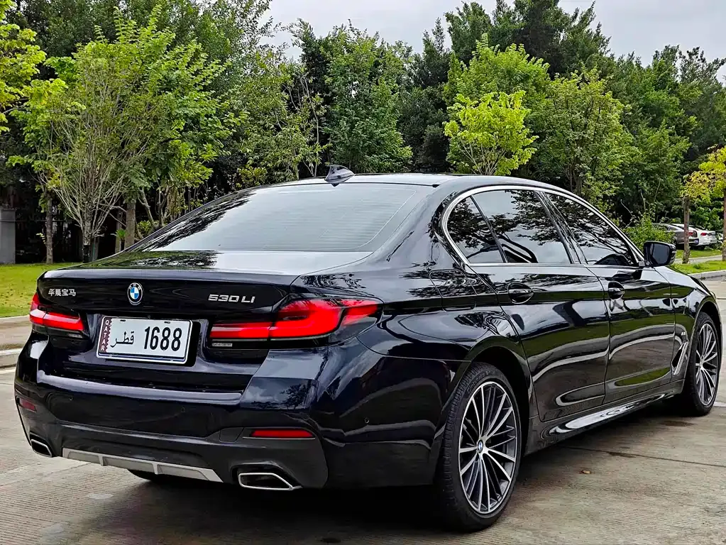 BMW 5 Series 2024 из CN, фото 10