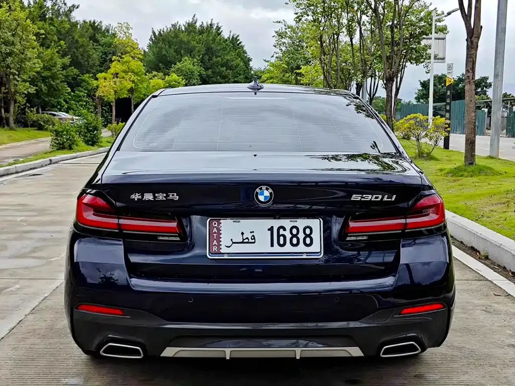 BMW 5 Series 2024 из CN, фото 4