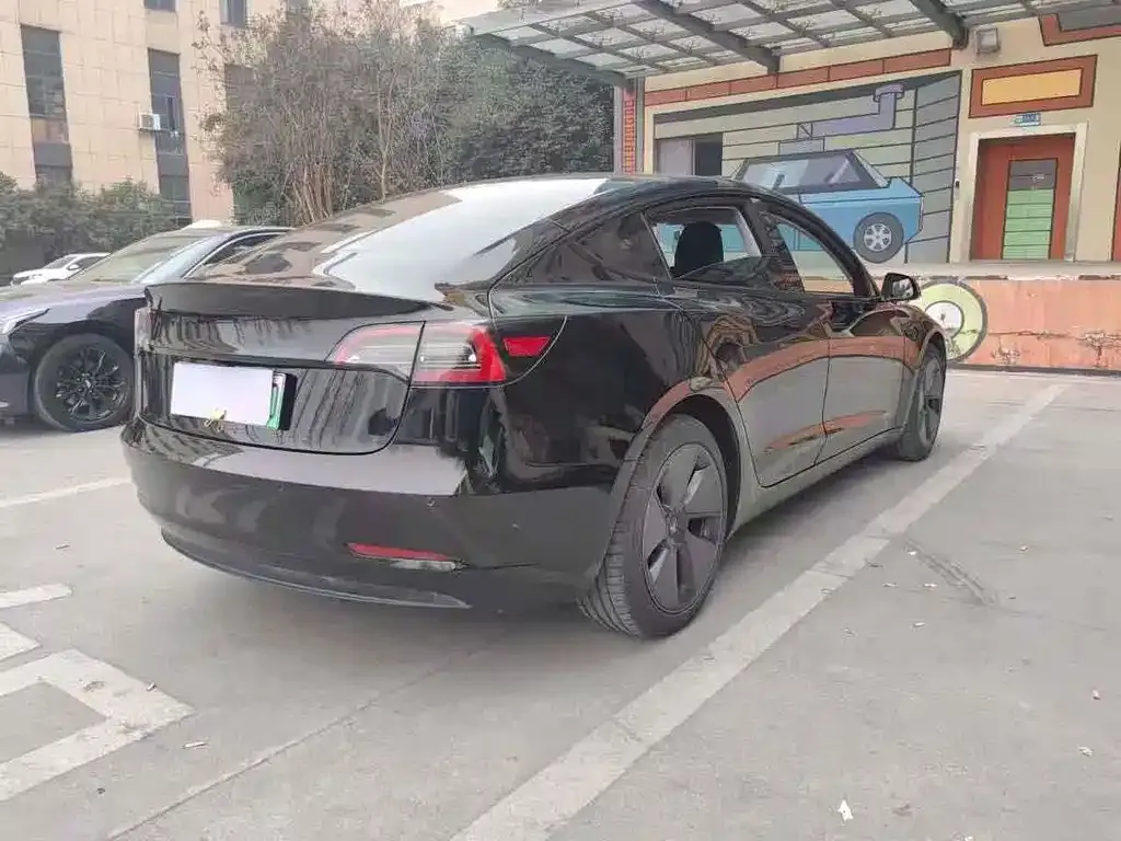 Tesla Model 3 2023 из CN, фото 6