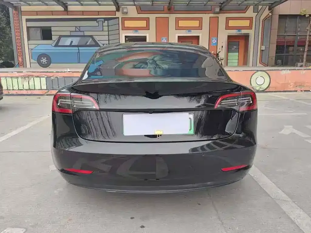 Tesla Model 3 2023 из CN, фото 8