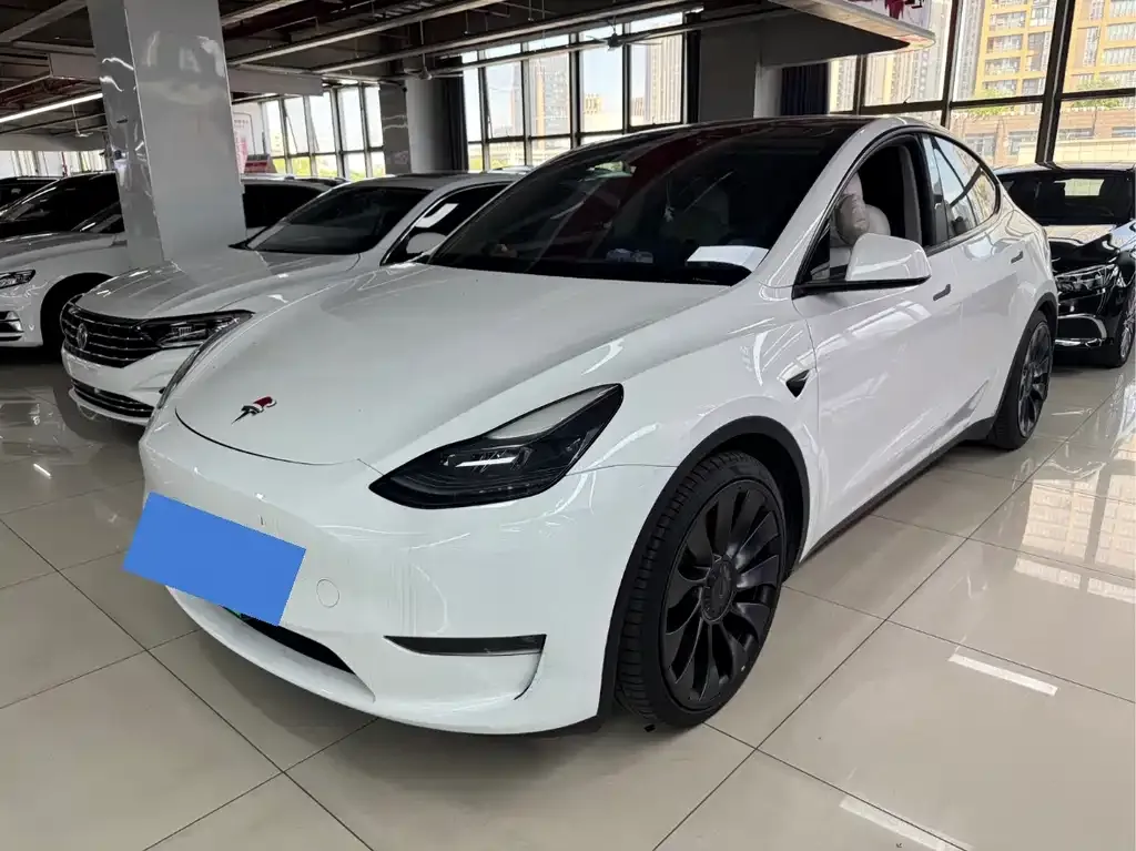 Tesla Model Y — фото 1