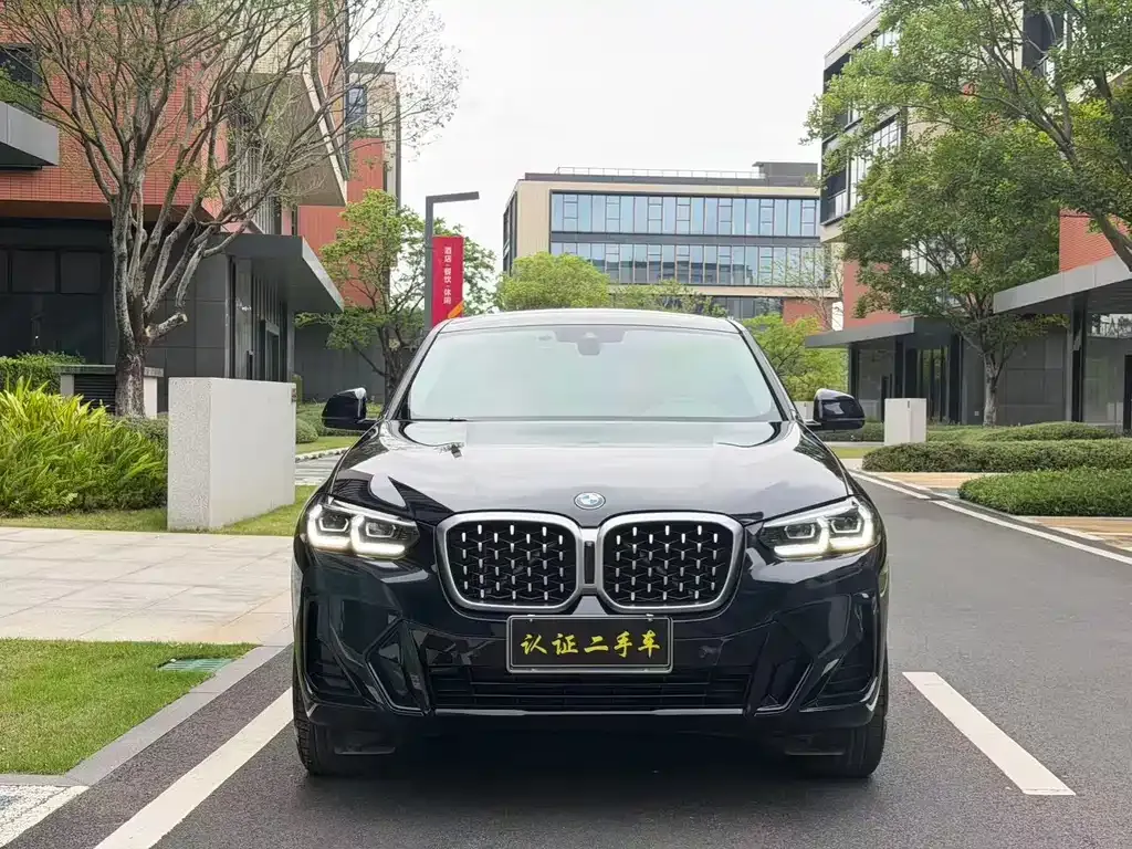 BMW X4 2023 из CN, фото 4