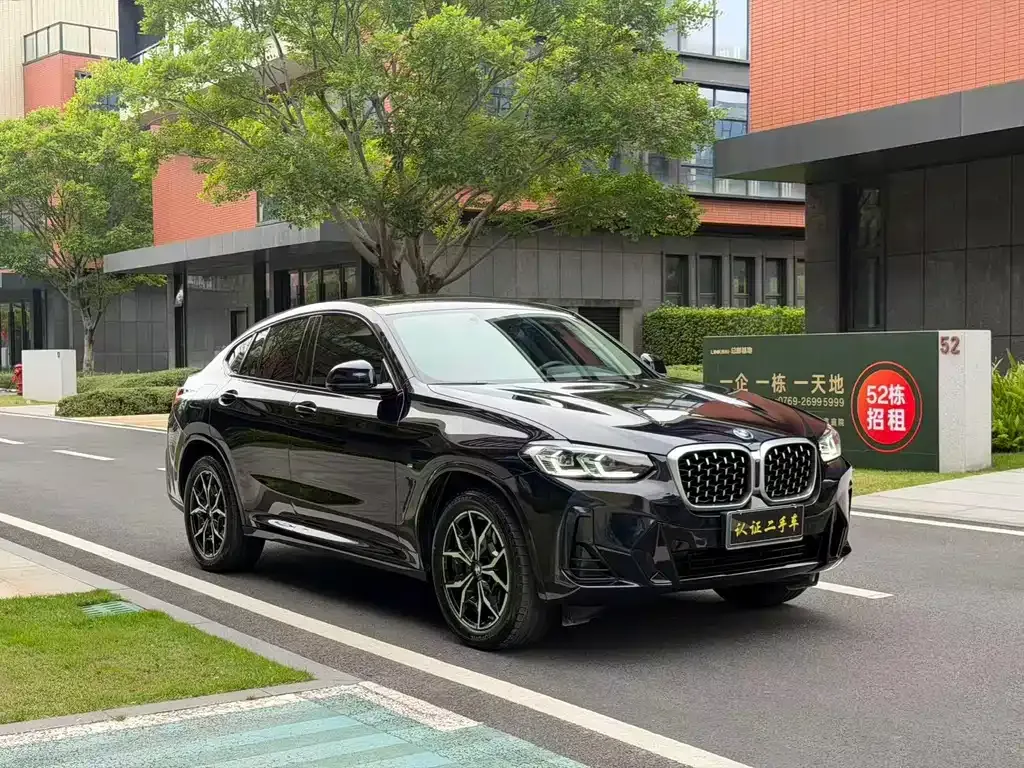 BMW X4 2023 из CN, фото 9